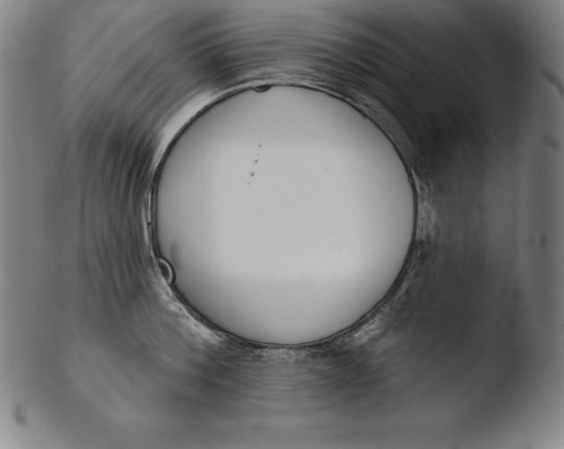 X0000103460812200809261839