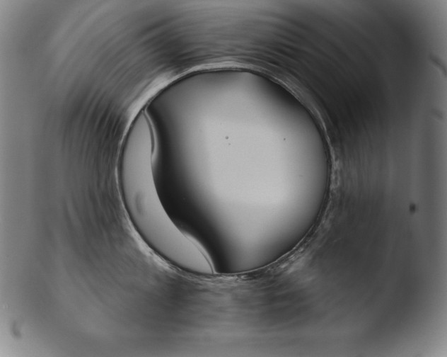 X0000103460813200809261839