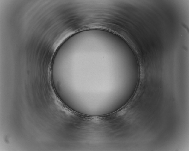 X0000103460814200809261839