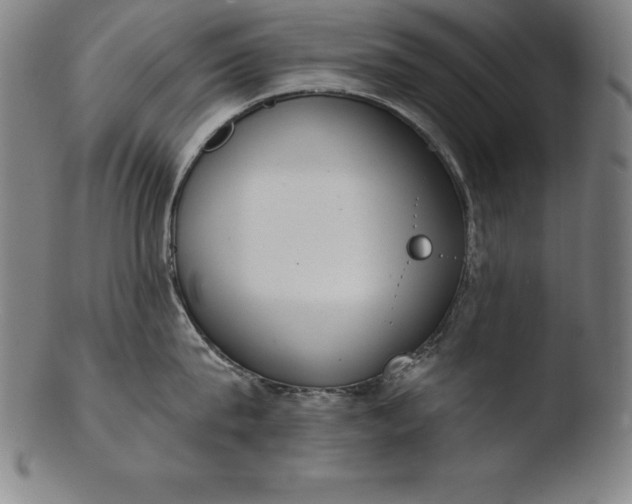 X0000103460815200809261839