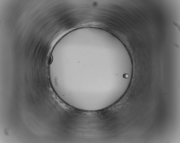 X0000103460816200809261839