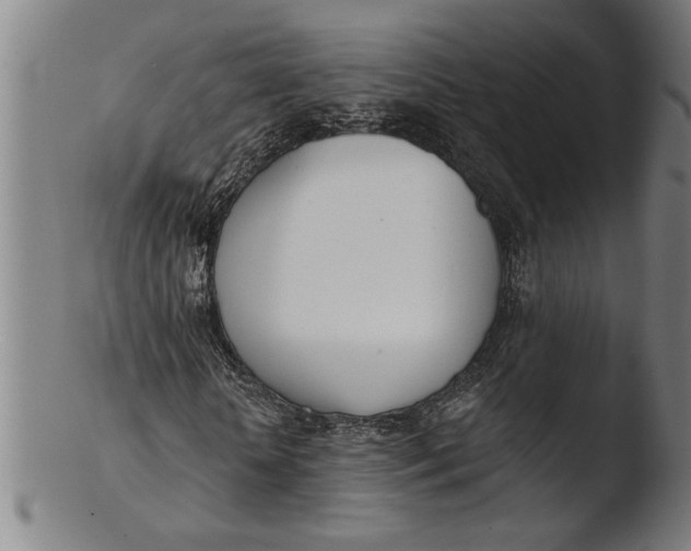 X0000103460818200809261838