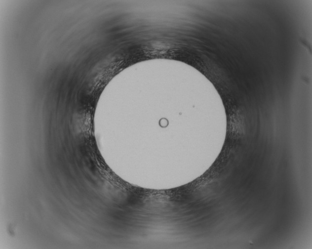 X0000103460820200809261838