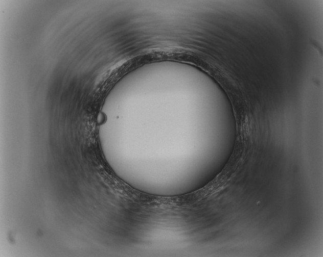 X0000103460822200809261838