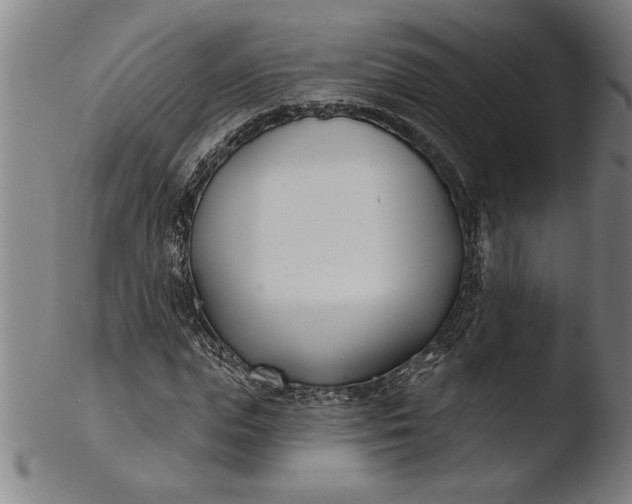 X0000103460823200809261839