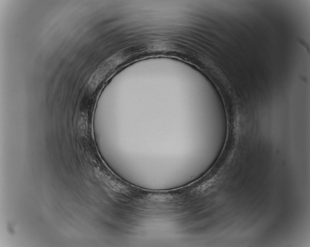 X0000103460825200809261839