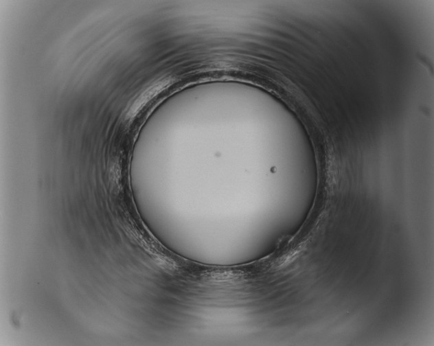 X0000103460826200809261839