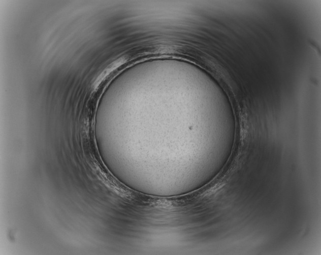 X0000103460827200809261839