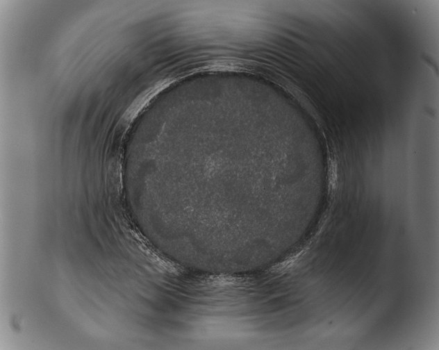 X0000103460829200809261839