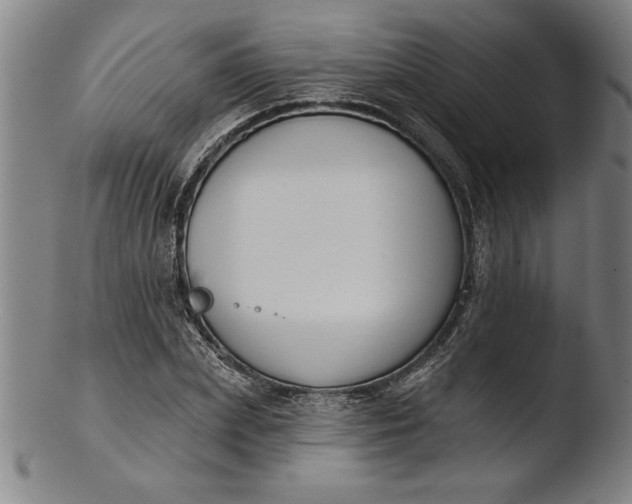 X0000103460831200809261839