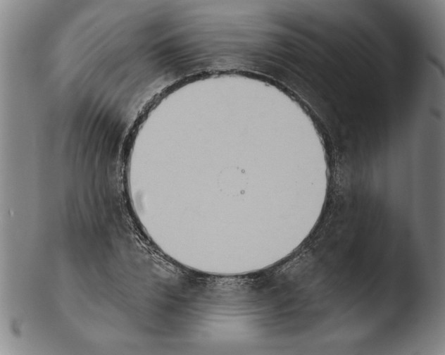 X0000103460832200809261839