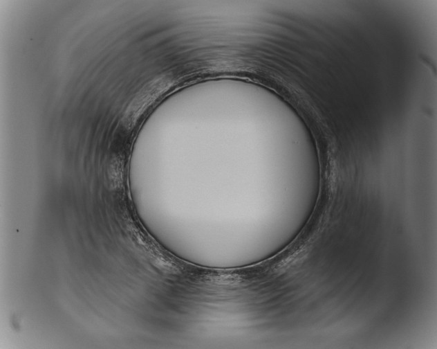 X0000103460833200809261839