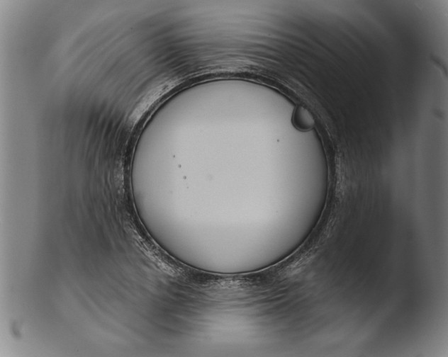 X0000103460834200809261839