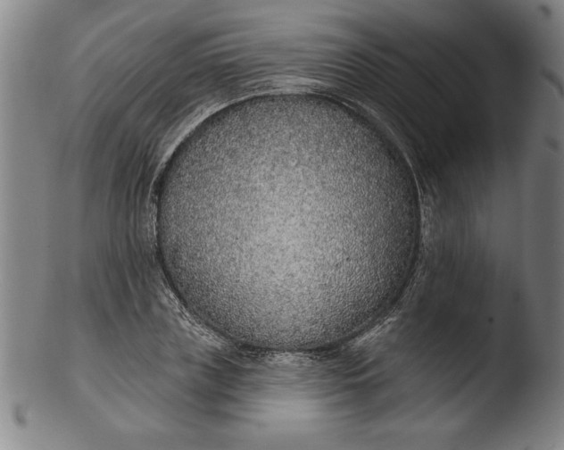 X0000103460835200809261839