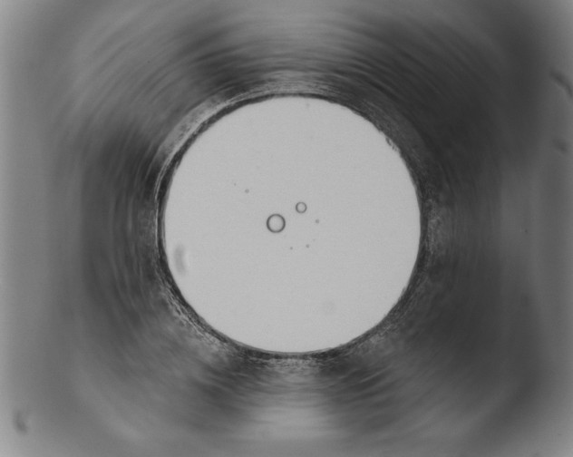 X0000103460836200809261839