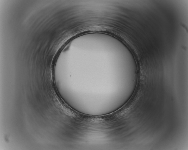 X0000103460837200809261839