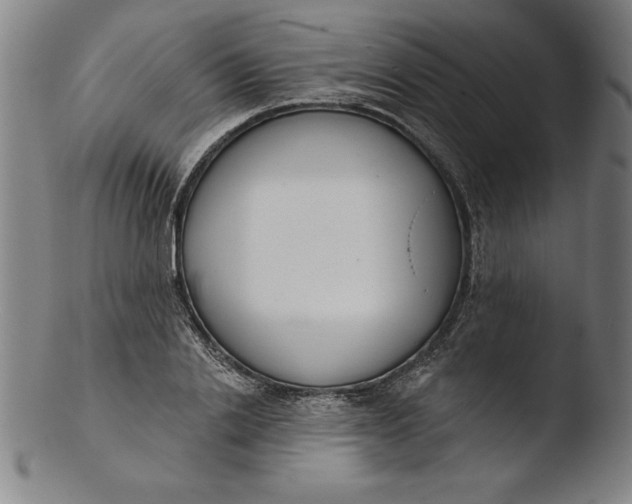 X0000103460838200809261839