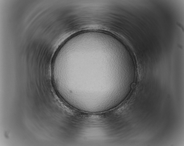 X0000103460839200809261839