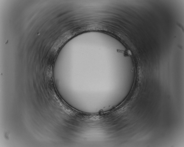 X0000103460841200809261839