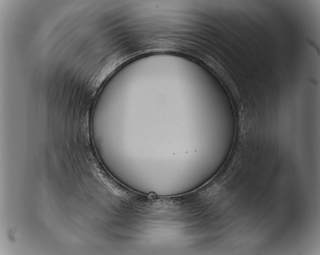 X0000103460842200809261839