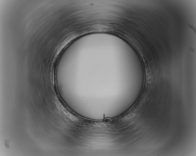 X0000103460843200809261839