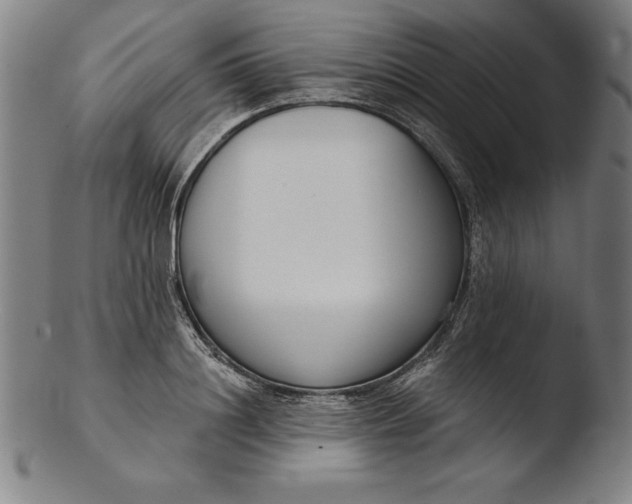 X0000103460844200809261839