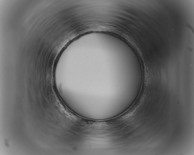 X0000103460845200809261839