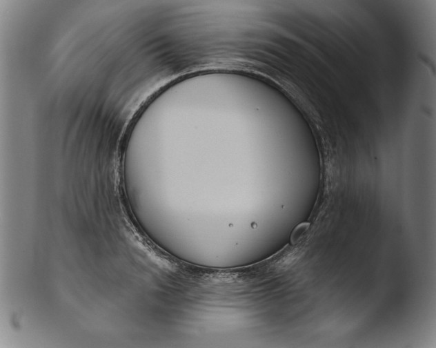 X0000103460846200809261839