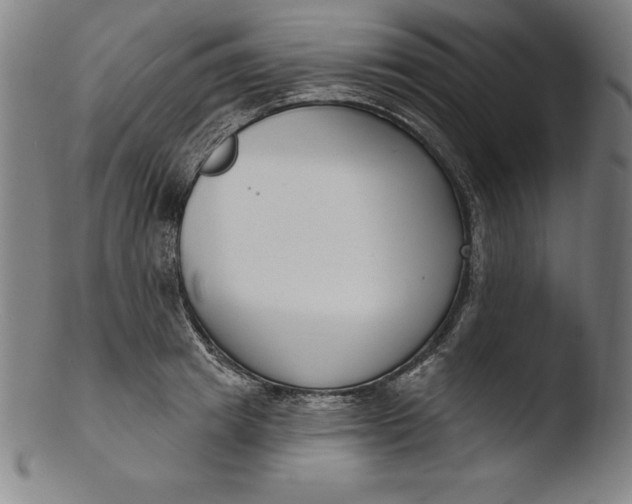 X0000103460849200809261839