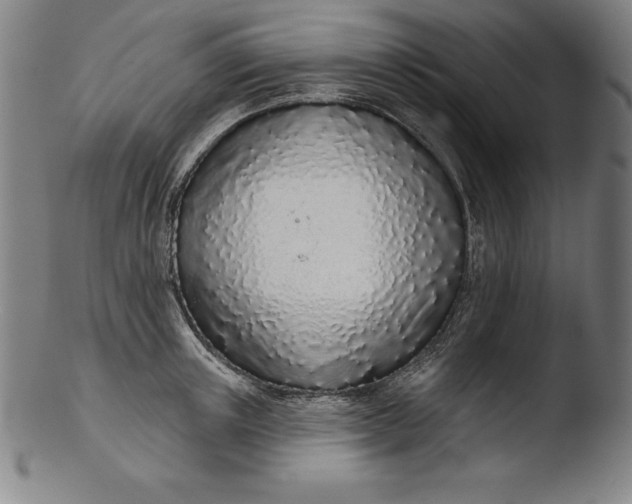 X0000103460851200809261839