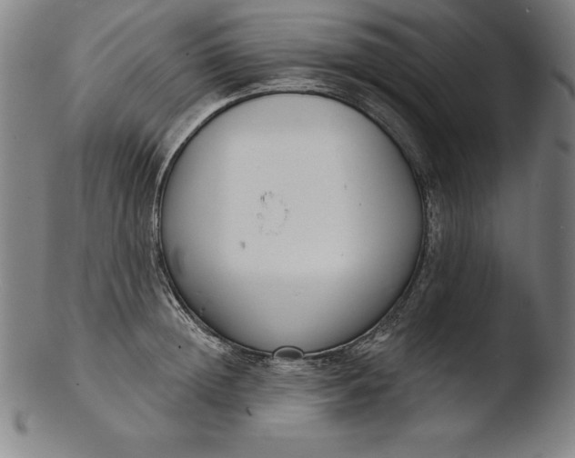 X0000103460852200809261839