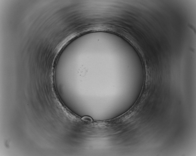 X0000103460853200809261839