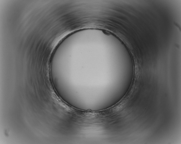 X0000103460854200809261839