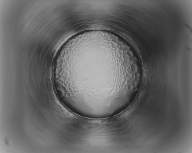 X0000103460855200809261839