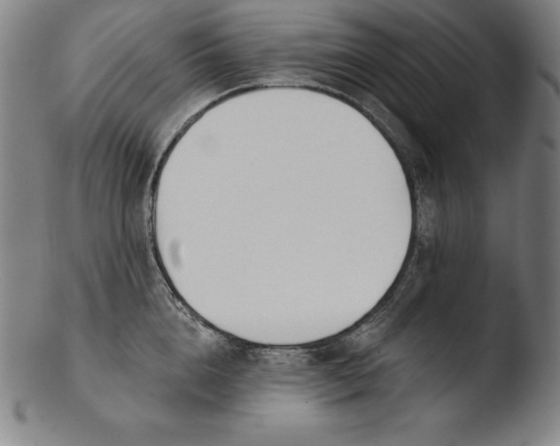 X0000103460856200809261839