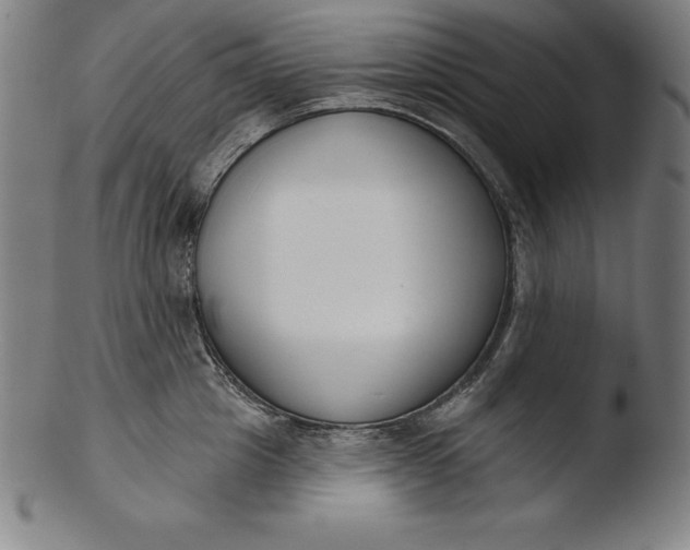 X0000103460857200809261839