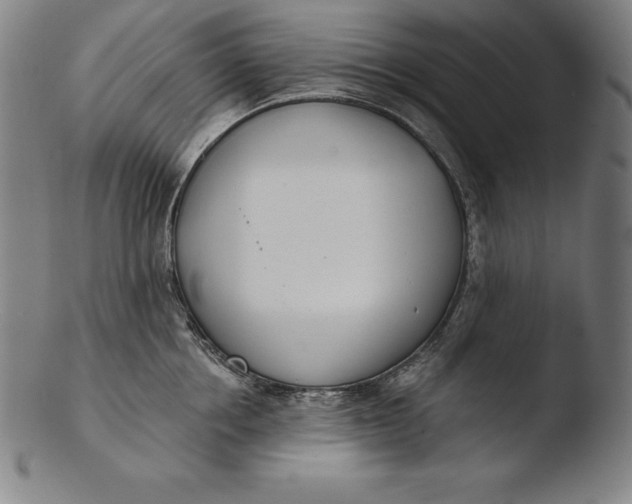 X0000103460858200809261839