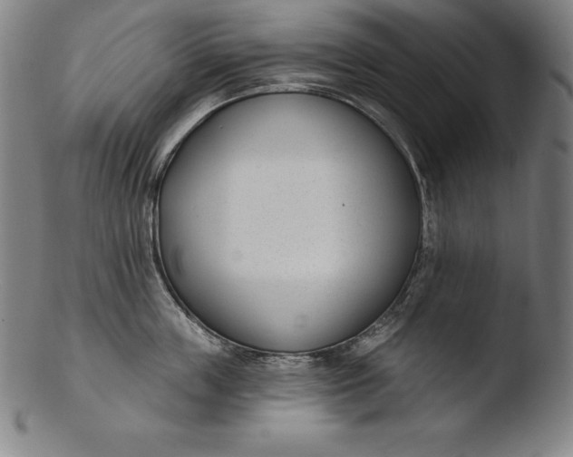 X0000103460859200809261839