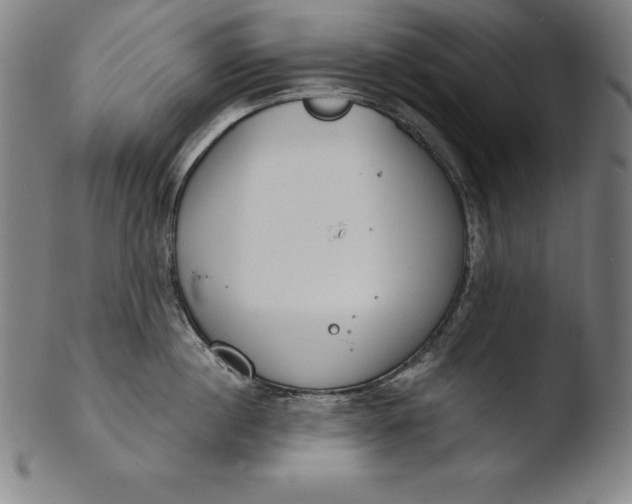 X0000103460860200809261839