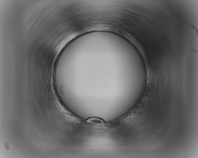 X0000103460861200809261839