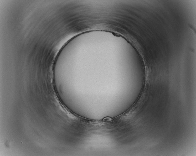 X0000103460862200809261839