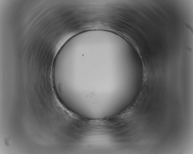 X0000103460863200809261839