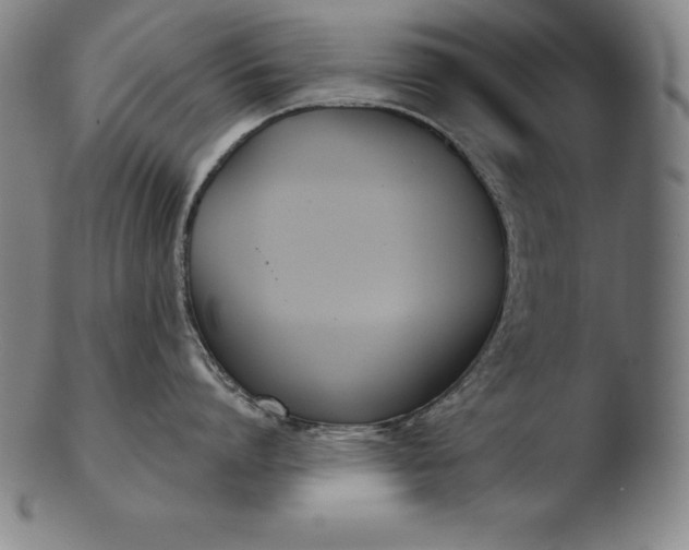 X0000103460864200809261839