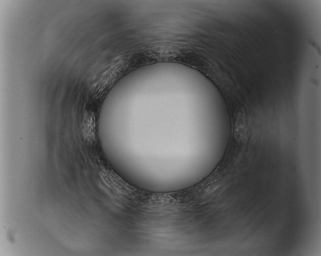 X0000103460866200809261838