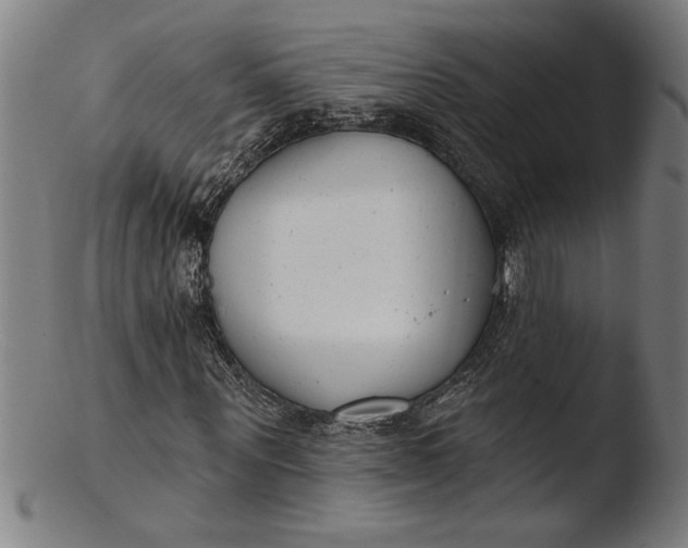 X0000103460867200809261838