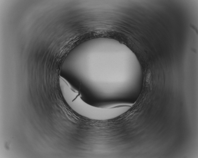 X0000103460868200809261838