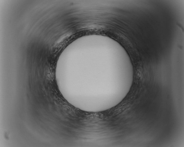 X0000103460869200809261838