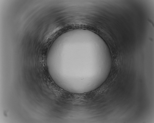 X0000103460870200809261838