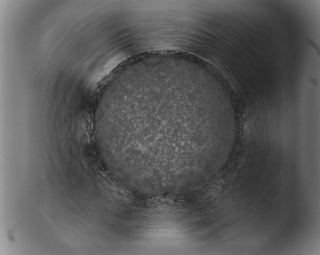 X0000103460871200809261838