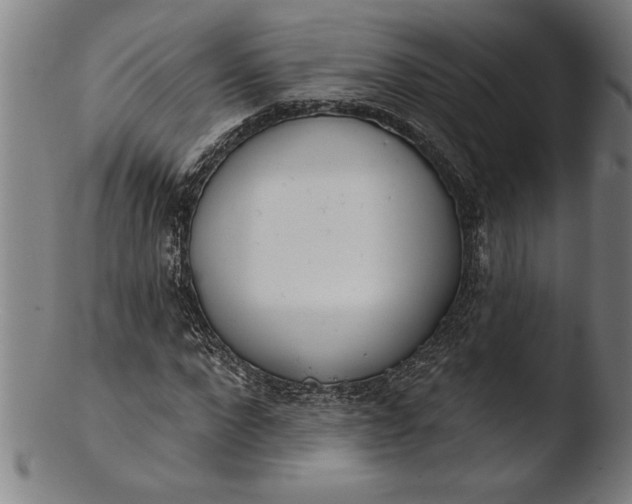 X0000103460872200809261838